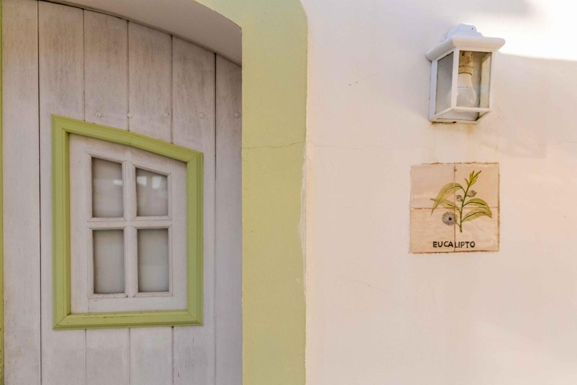 Monte Oliveiras - Holiday home