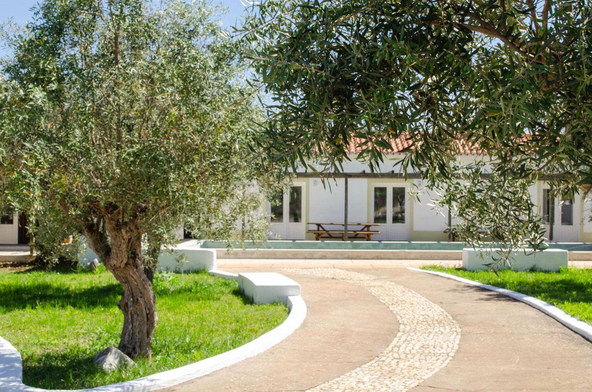 Monte Oliveiras - Holiday home Estremoz