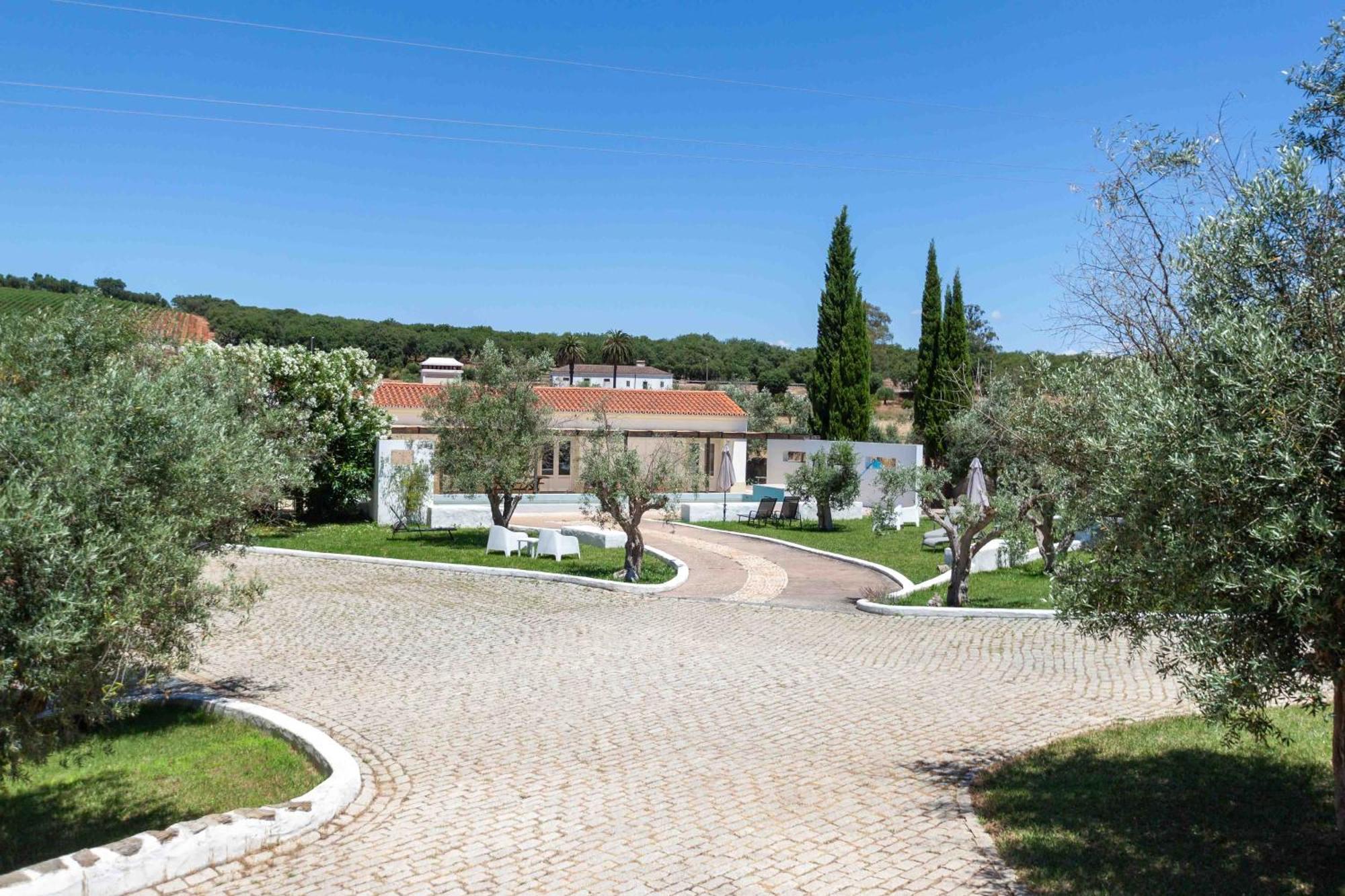 Monte Oliveiras - Holiday home
