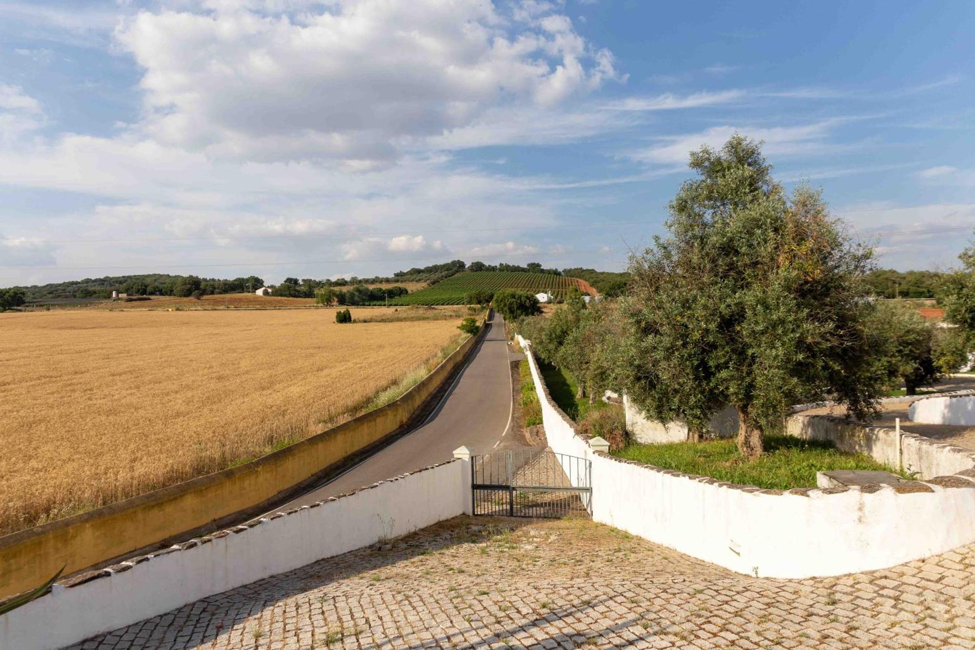 Monte Oliveiras - Holiday home *