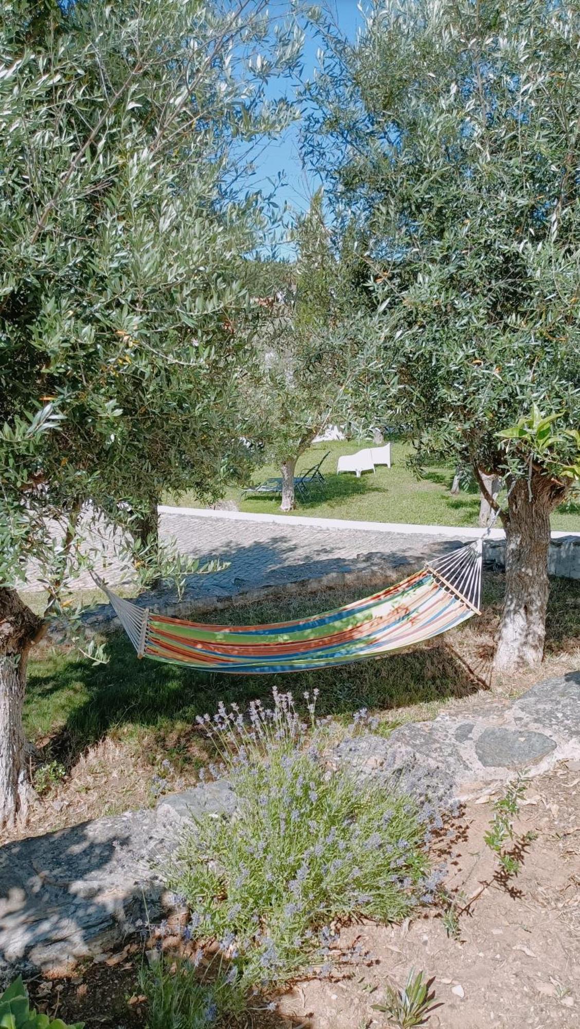 Monte Oliveiras - Estremoz