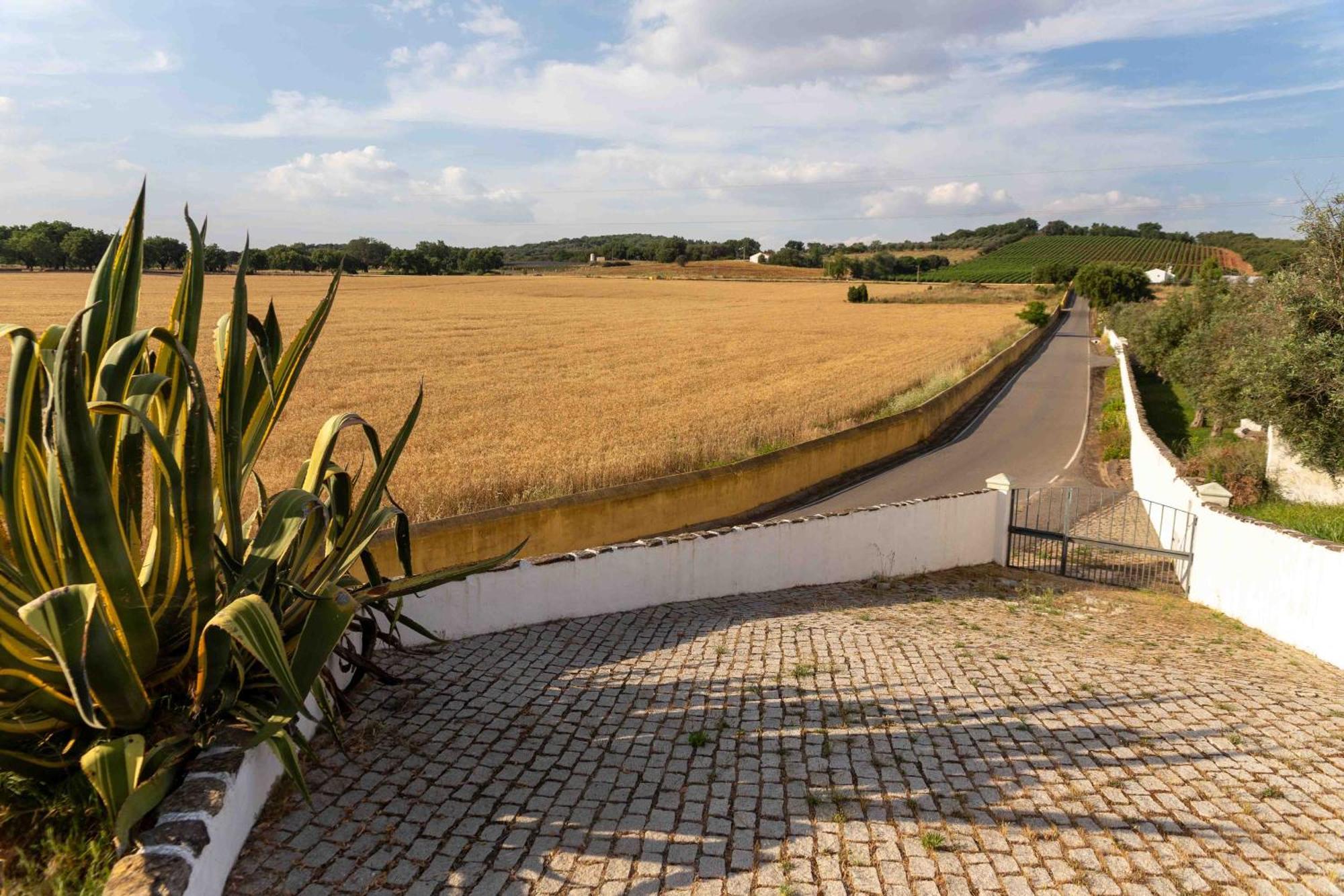 Holiday home Monte Oliveiras -