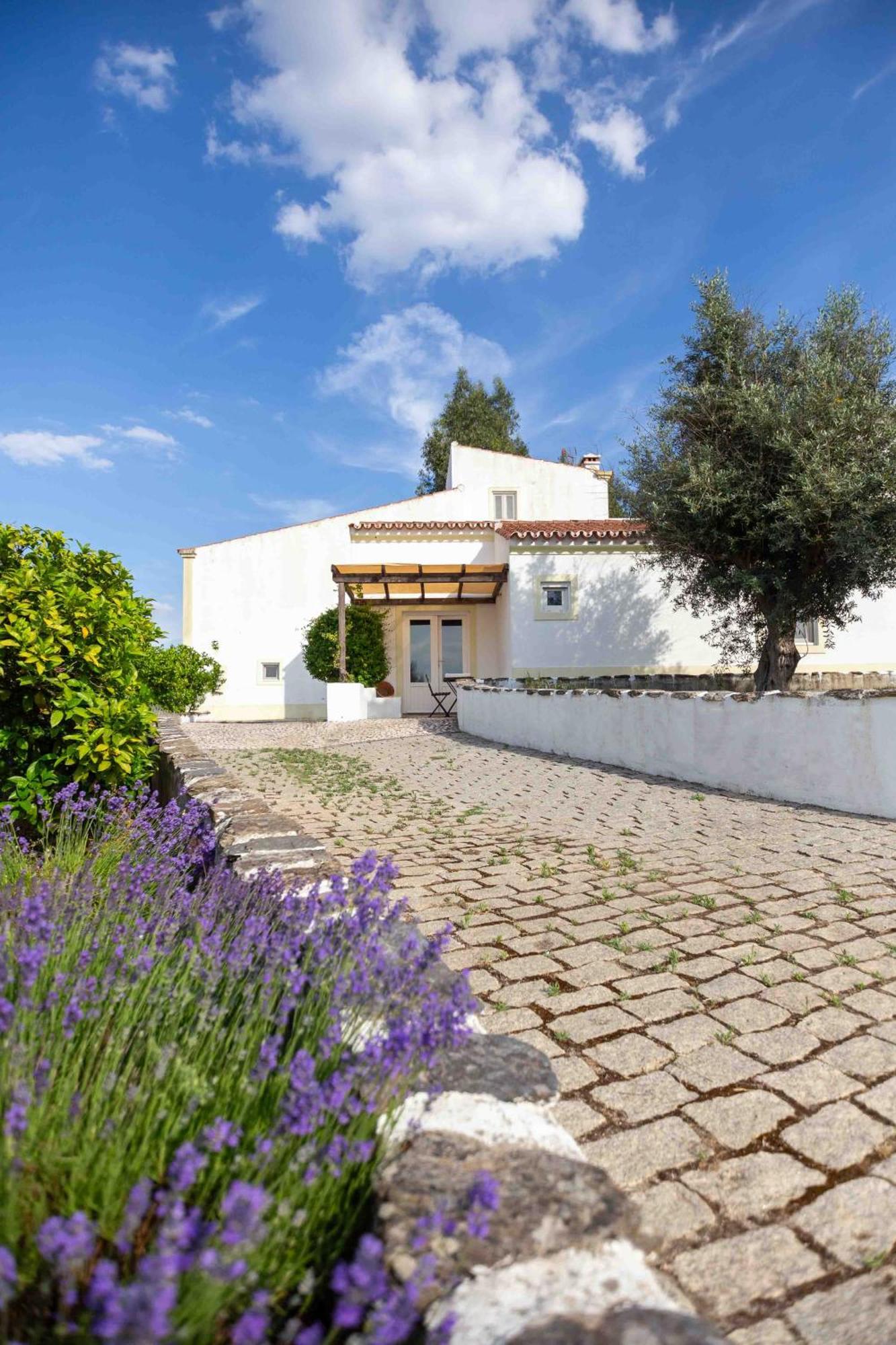 Monte Oliveiras - *