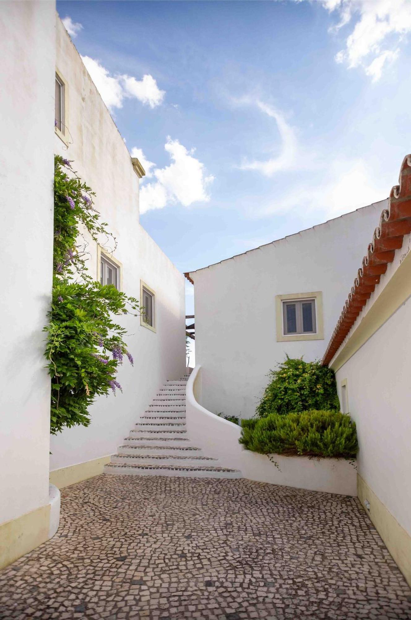 Monte Oliveiras - *
