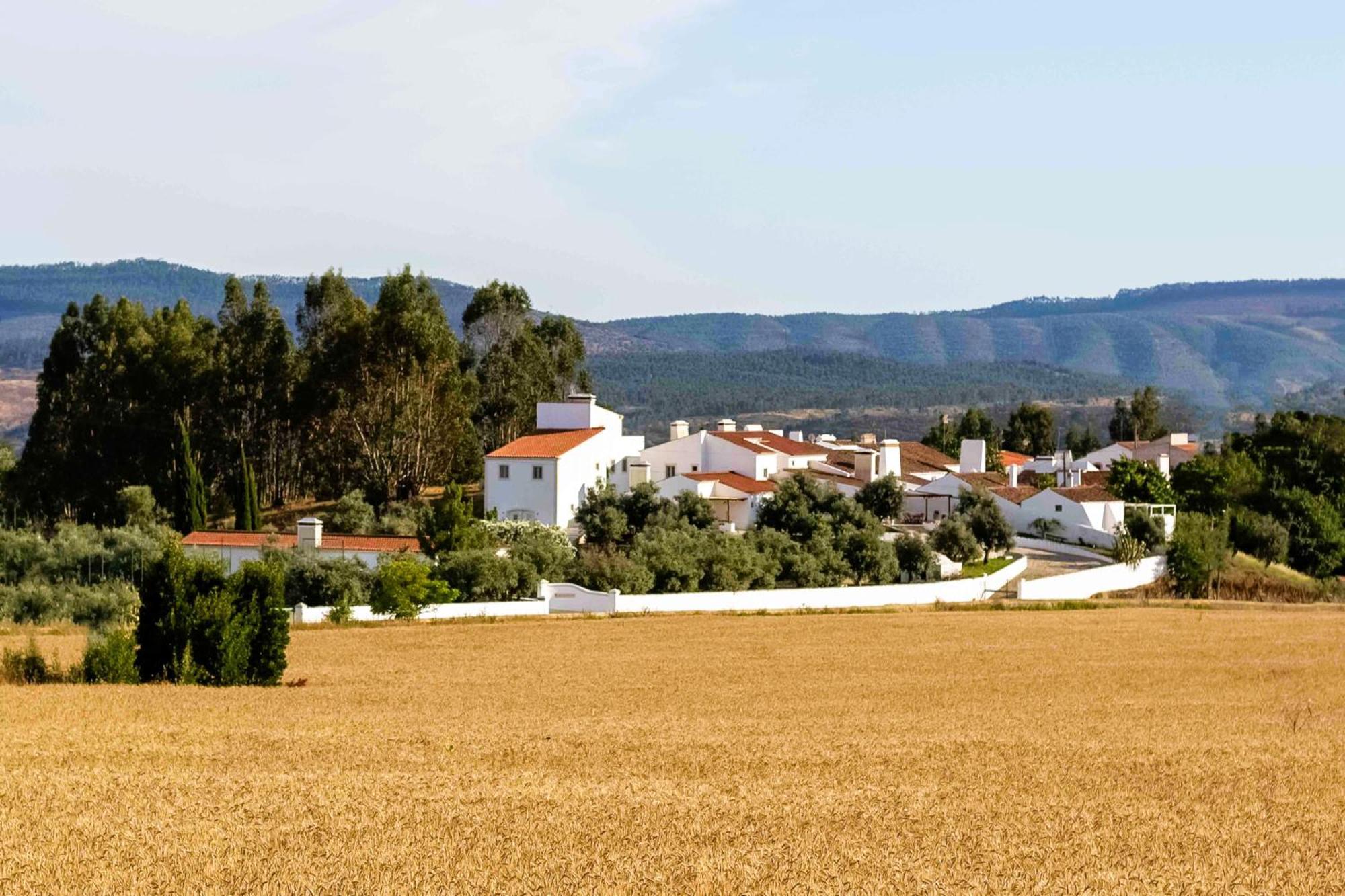 Monte Oliveiras -